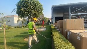 Pest Control Service Gulshan